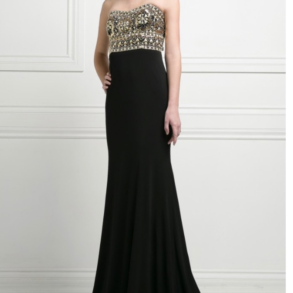 NWT Cinderella Divine prom dress